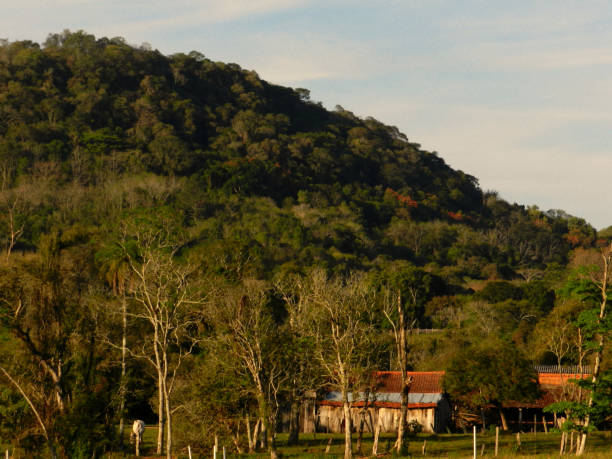 Artistic representation of gif de sexo in modern digital media