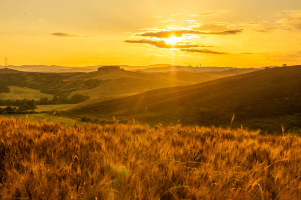 Breckie Hill social media presence and online trend discussion