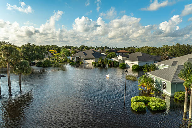 Digital privacy awareness concept related to leakedzone