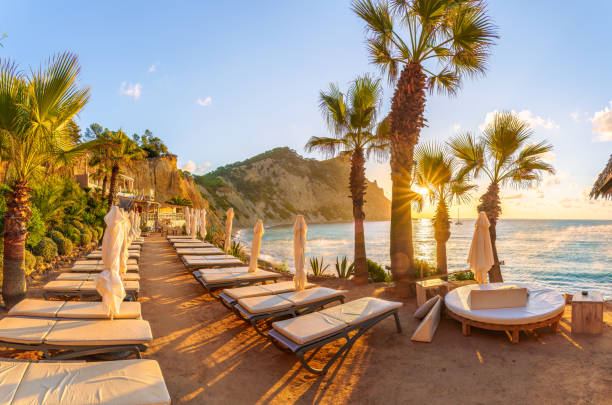 Sxmx abstract digital branding concept with modern design elements